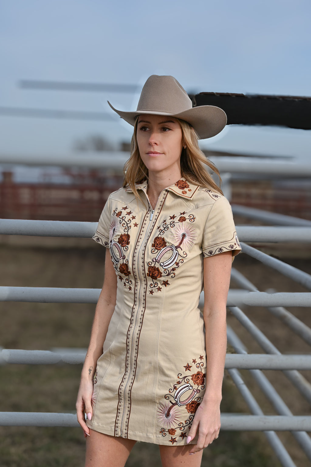 The Calamity Dress