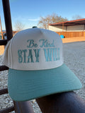 Be Kind Stay Wild