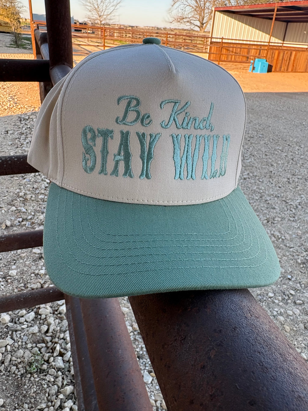 Be Kind Stay Wild